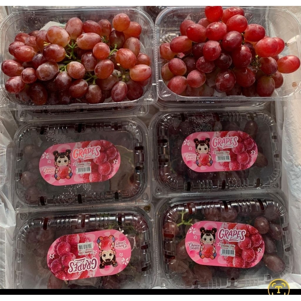 

Anggur Crimson Orderan Mba Yanti