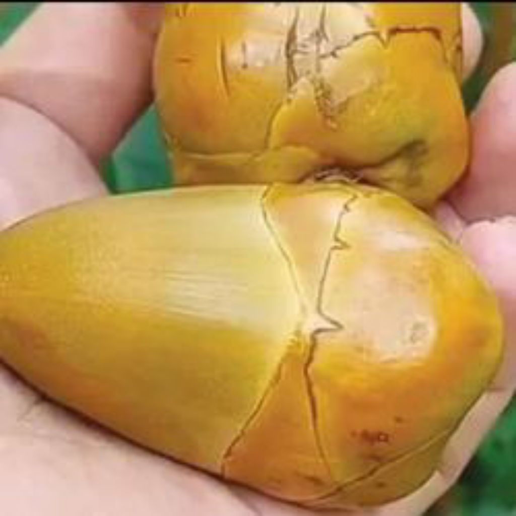 

tembuluk bluluk kelapa kecil 1kg rp10000