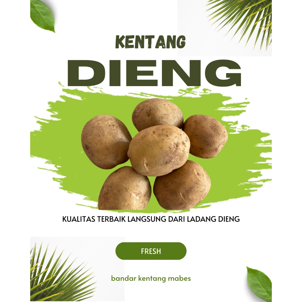 

( 1KG ) KENTANG DIENG UKURAN SEDANG FRESH DAN PREMIUM KUALITAS TERBAIK