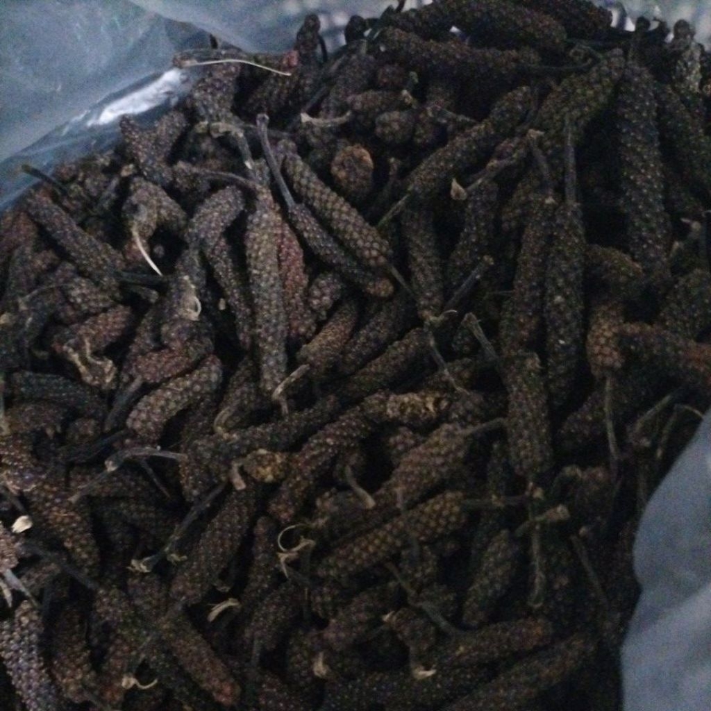 

Cabe Jawa/Cabe Jamu/Cabe Puyang kering