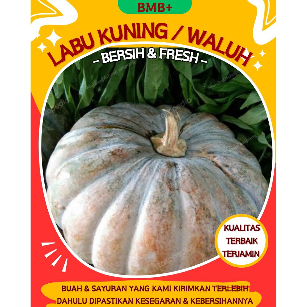 

BMB+ Buah Labu Kuning Premium / Labu Waluh / Labu Pumpkin