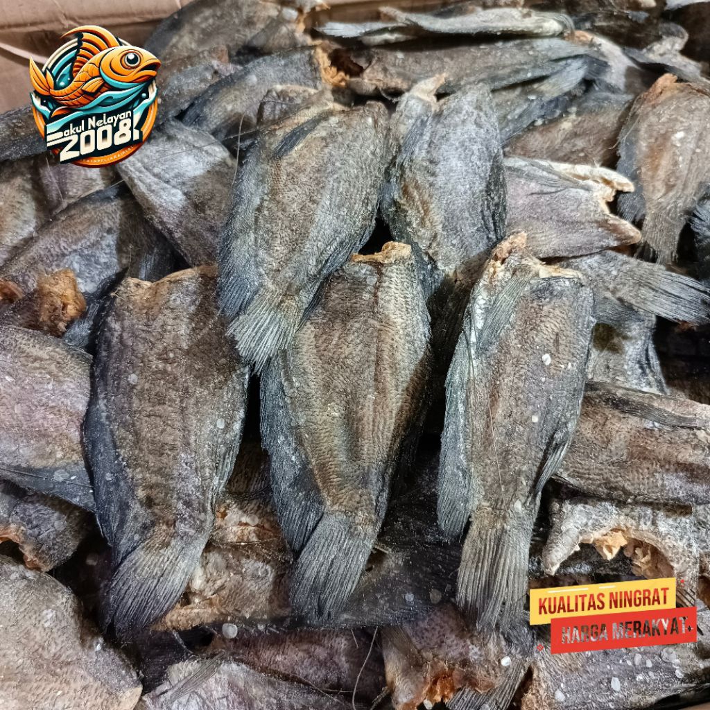 

Ikan asin sepat besar | sepat jumbo