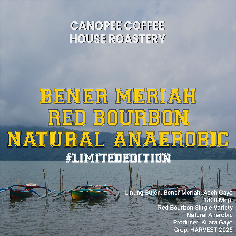 

Arabika "ACEH Gayo Red Bourbon Natural Anaerobic" - Limited Edition Series