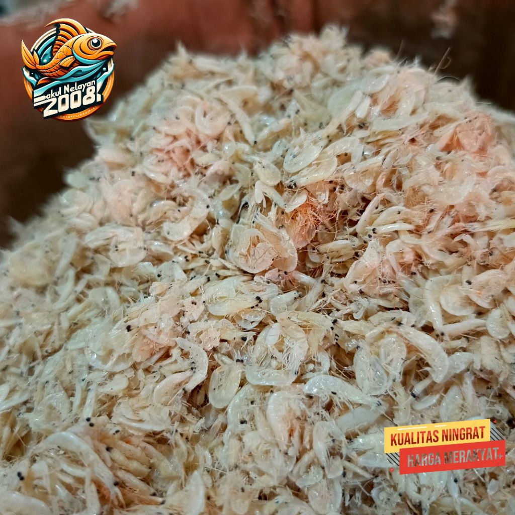 

Ikan asin rebon halus | ikan rebon