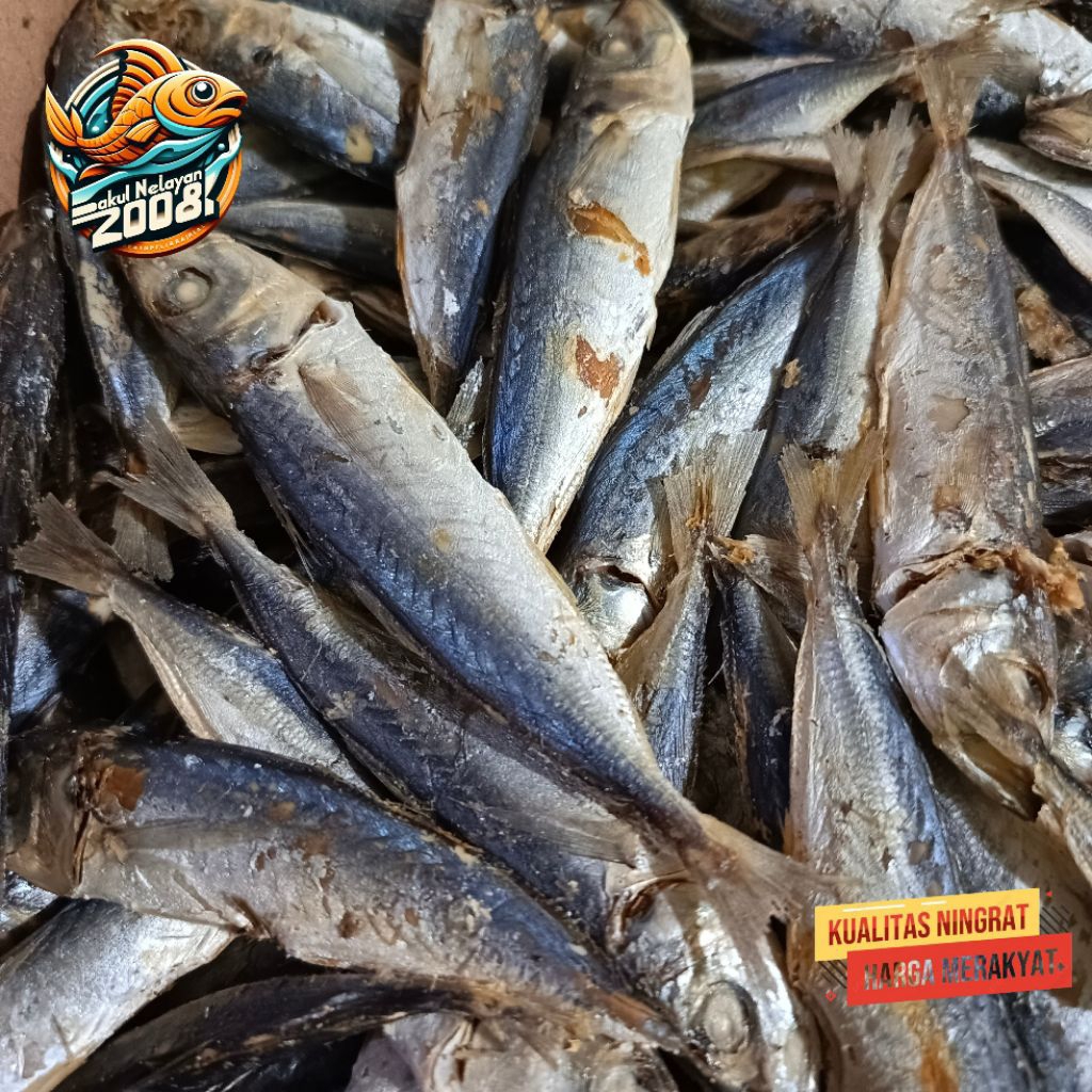 

Ikan asin japuh | ikan japuh rebus