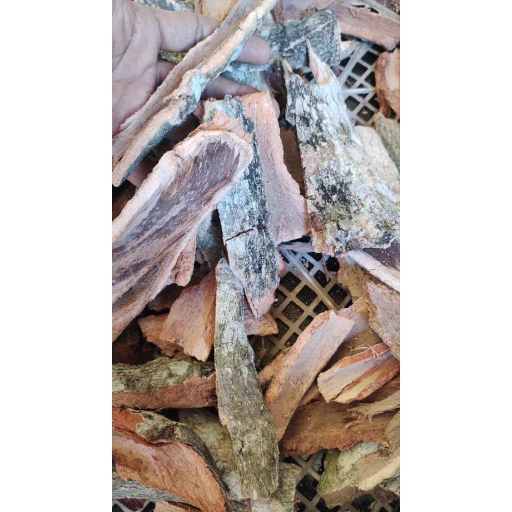 

kulit Jamblang juwet kering untuk herbal 500 gr