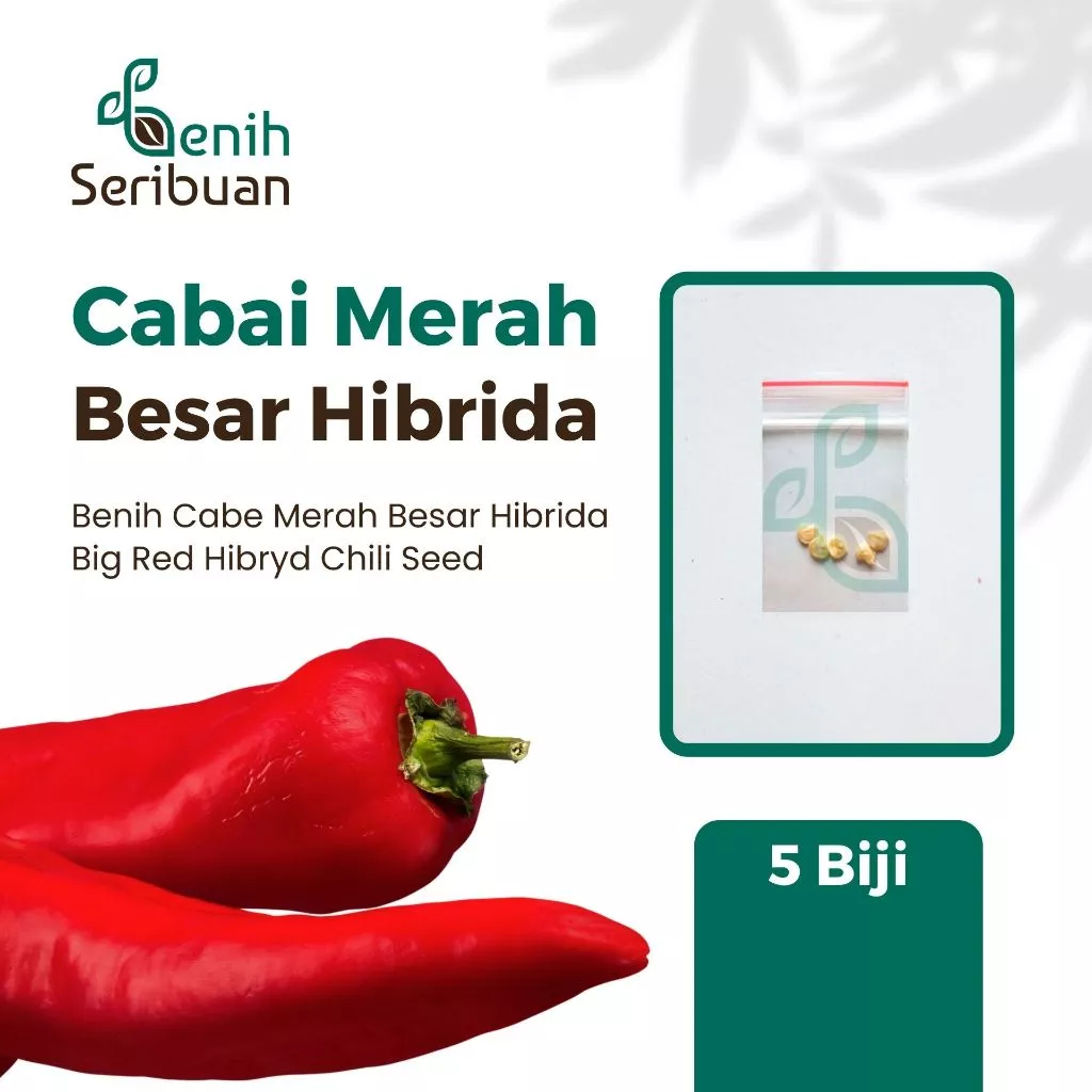 Benih Seribuan - 5 Benih Cabe Merah Besar F1 Hibrida