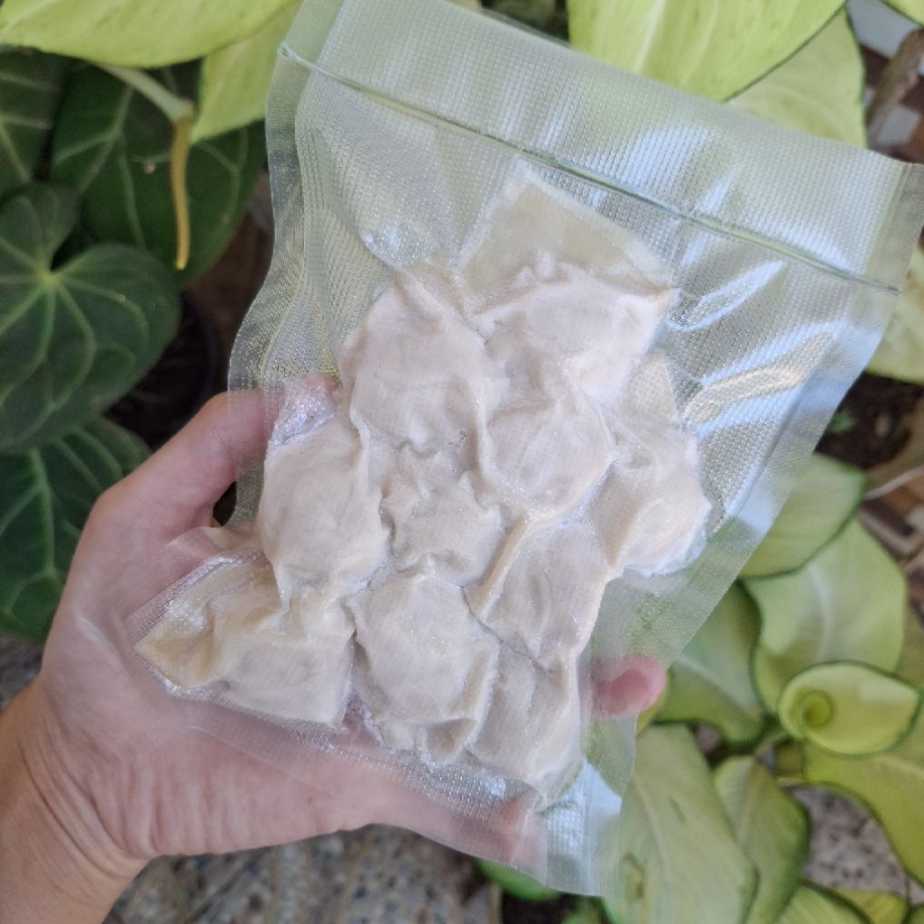 

Pangsit Ayam Tulang Rangu 1 pack isi 10pcs Frozen (Tanpa Bumbu dan Chilli Oil) | Ayam Polos | Ayam Keju