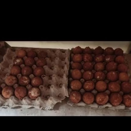 

TELUR ASIN BATA MERAH