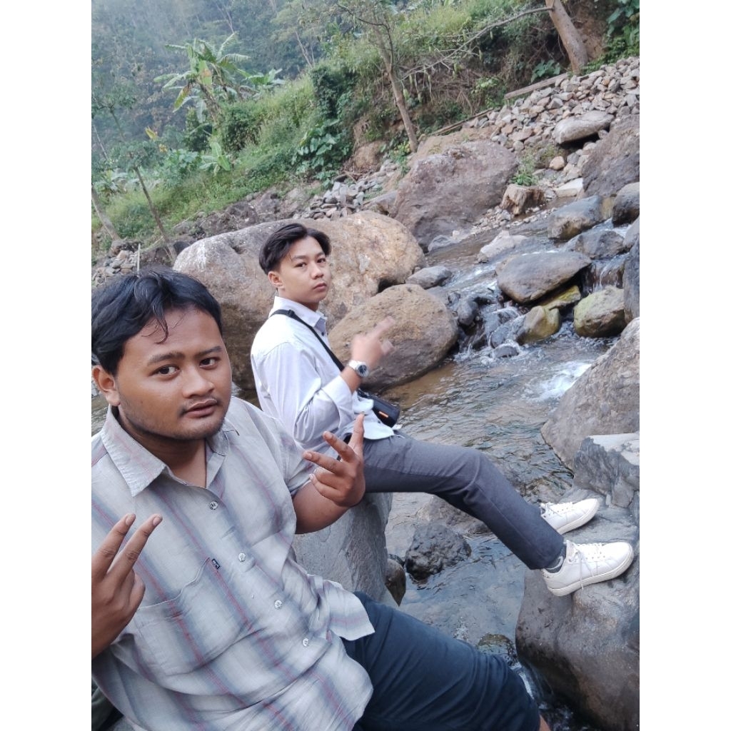 musang include kandang mini