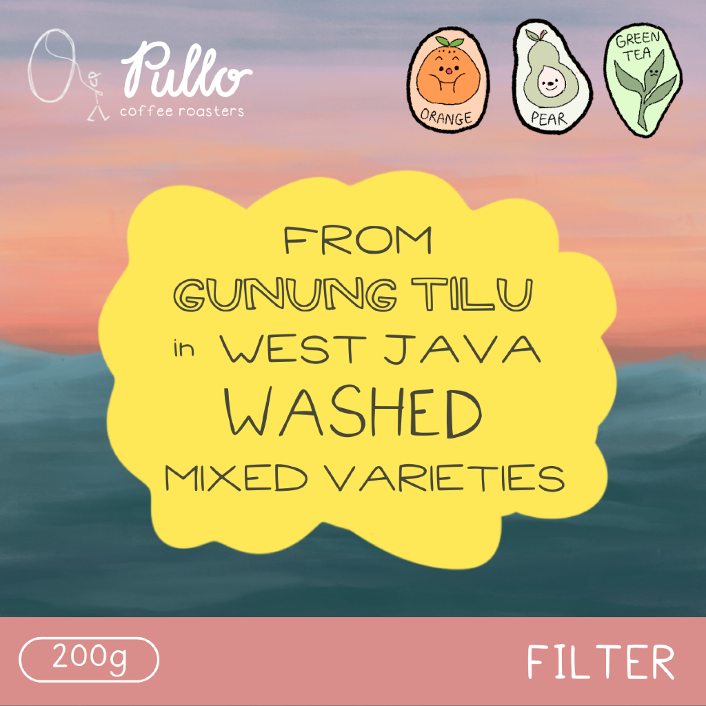 

Filter Roast - Gunung Tilu Washed