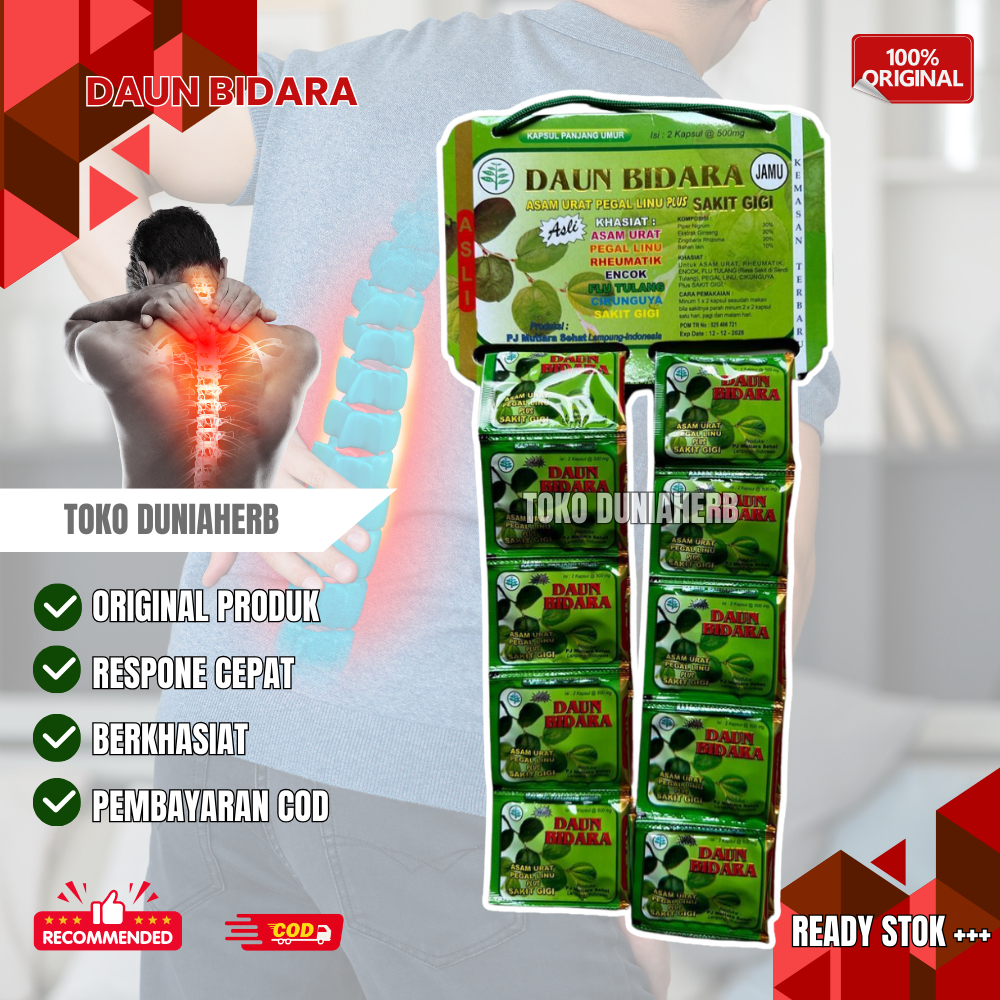 

Daun Bidara Kapsul Renceng Original