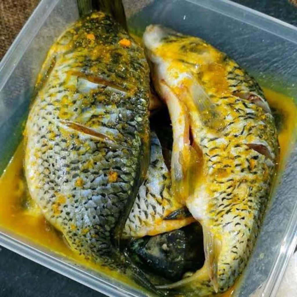 

ikan nila mentah 500gr bumbu marinasi/ ungkep ada bonus alat dapur set ⭐⭐⭐⭐⭐⭐