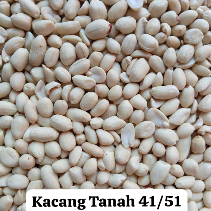

Kacang Kupas Import India Kualitas Super Ukuran Besar/Sedang/Kecil Kemasan 1 Kg