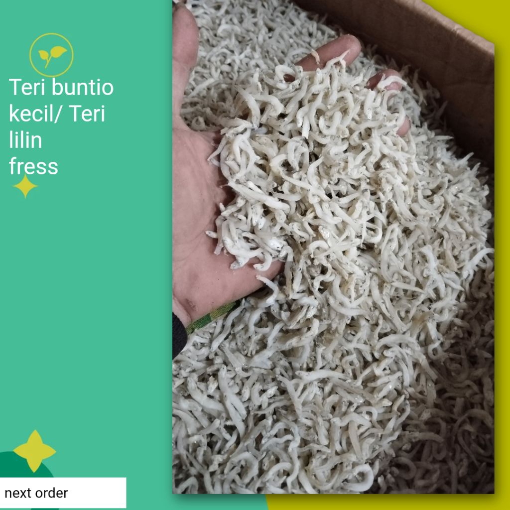 

grosir ikan asin, teri buntio kecil, teri lilin berat 1kg