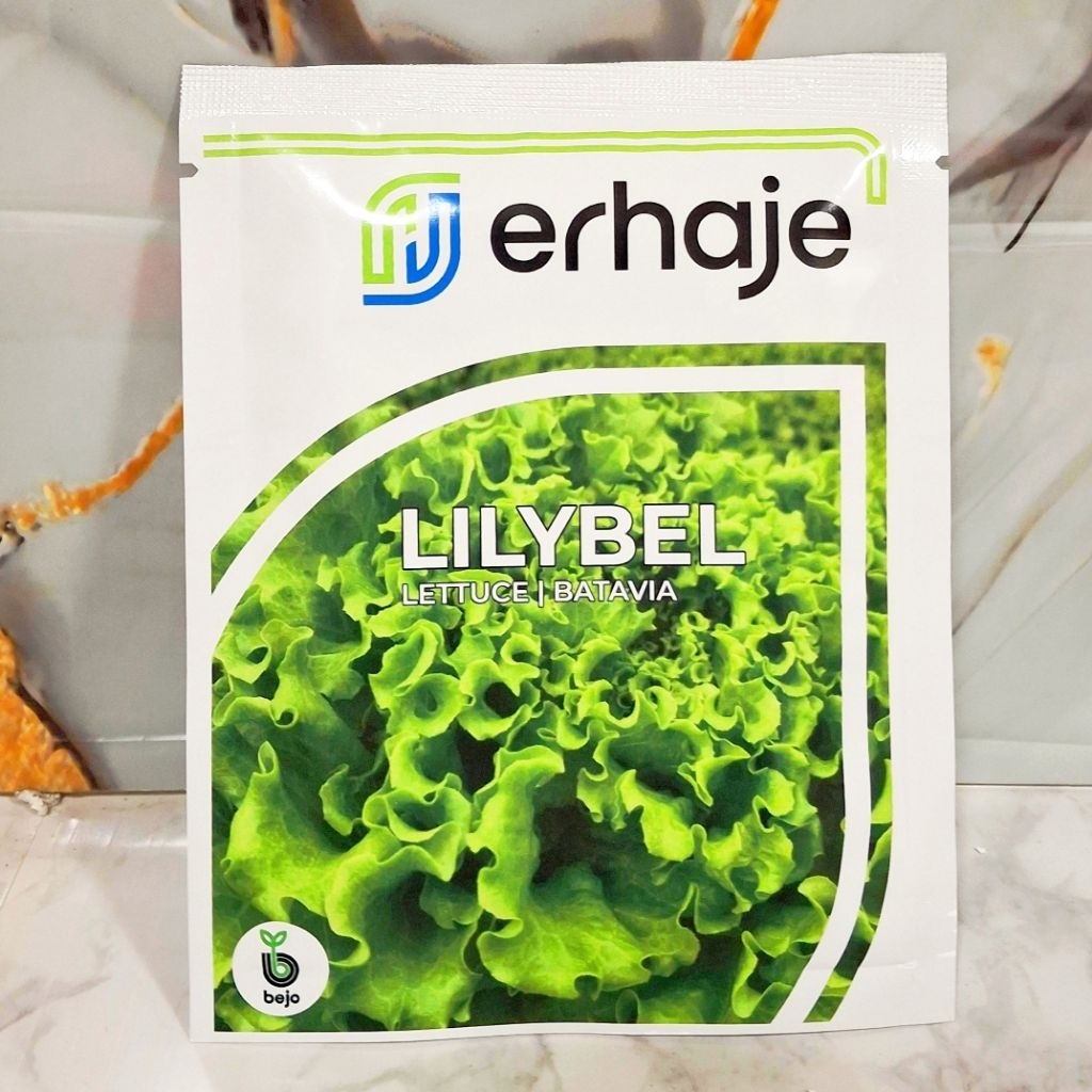 Benih Bibit Selada Lilybel Kemasan 1000 Pills - Bejo Seed