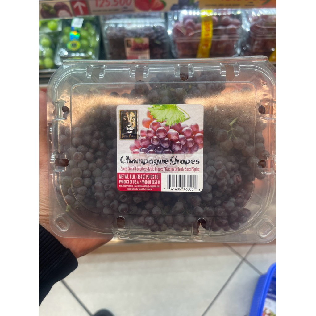 

Anggur Champagne Grepes Seedless | Anggur Mini Import Frsh 450gram | Pack