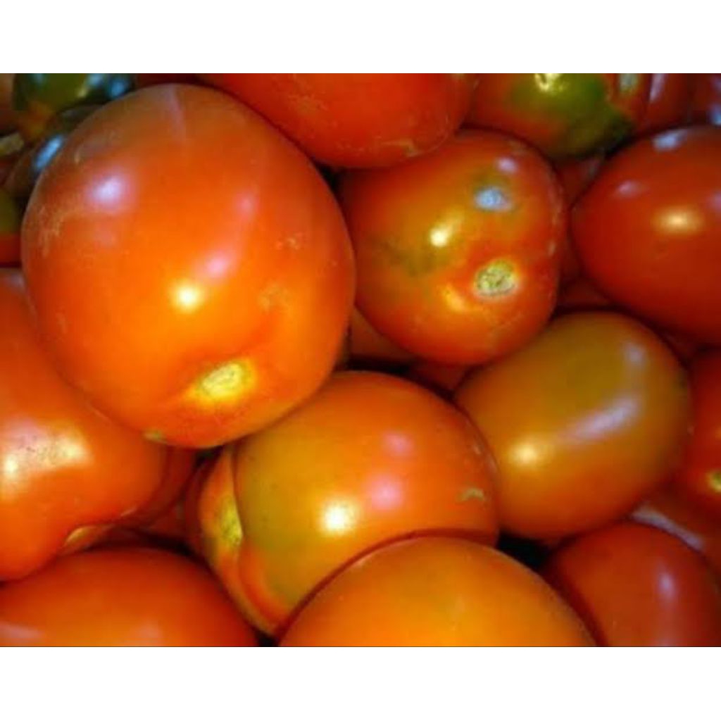 

Tomat 1/2kg / 500 gram