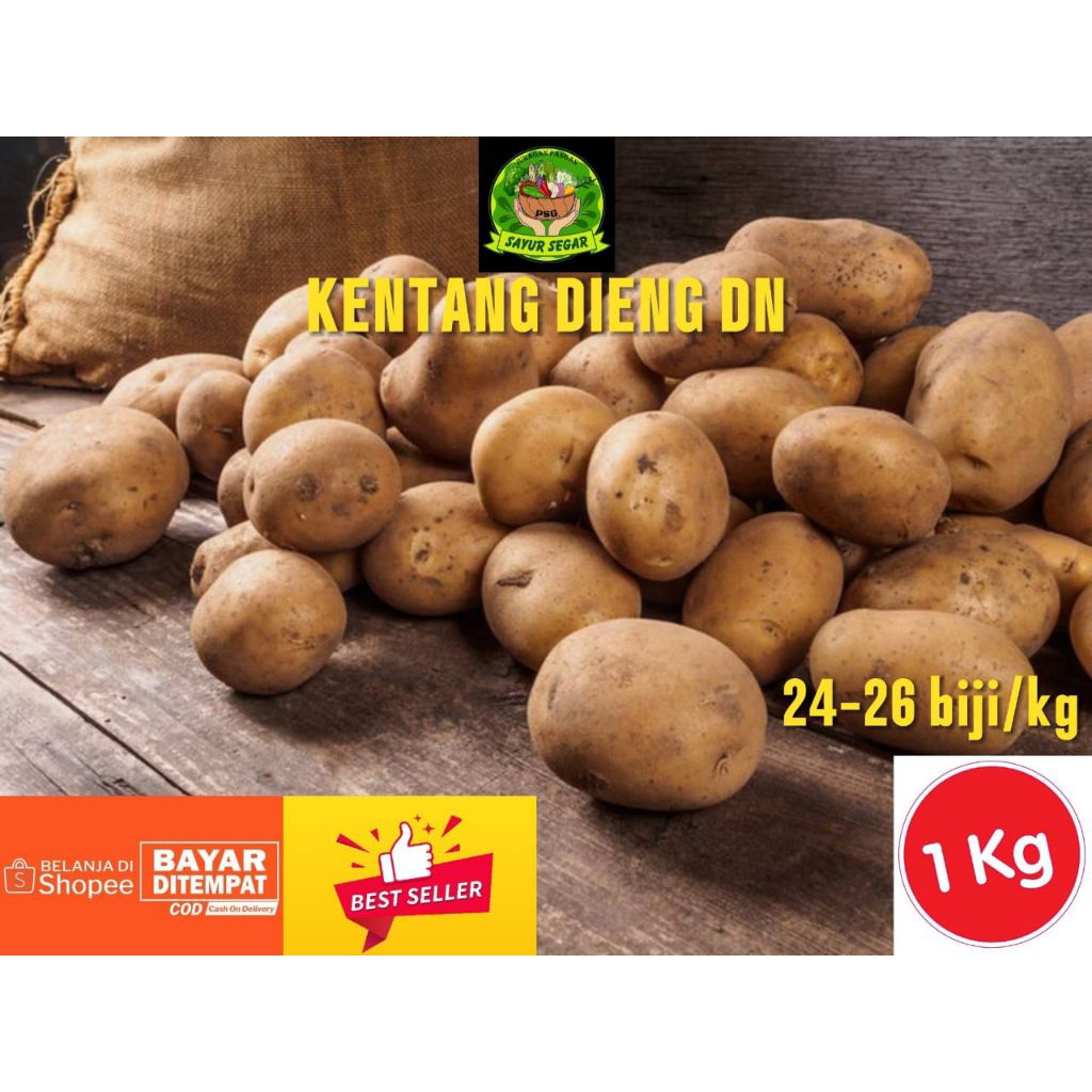 

1 KG kentang Dieng ukuran DN 24-26 biji