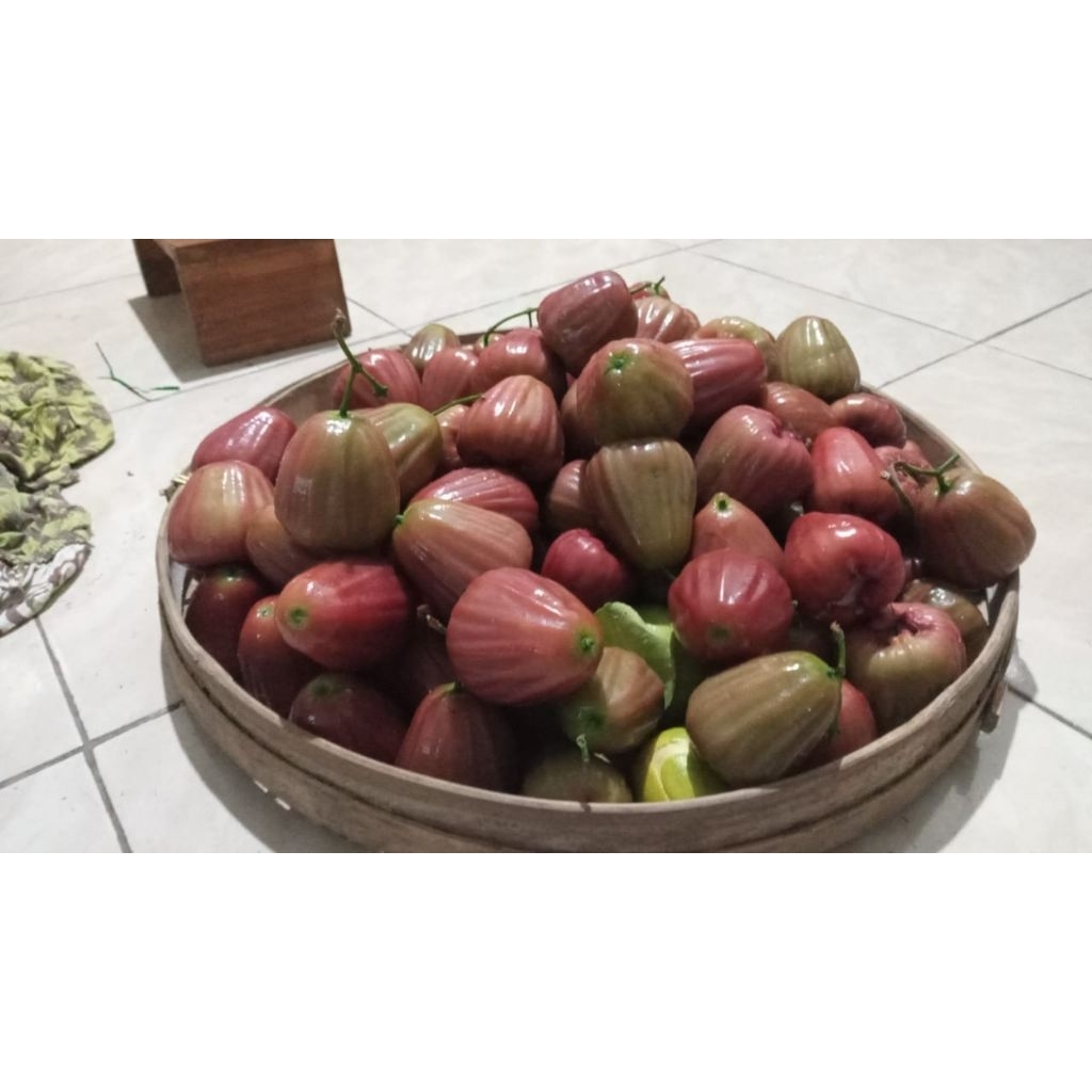 

Jambu air