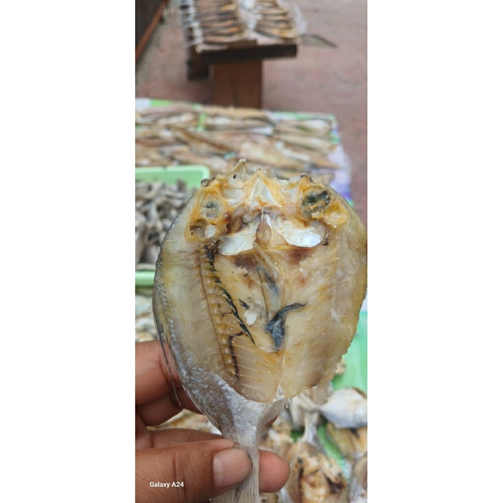 

Ikan Asin Belah Super Gurih