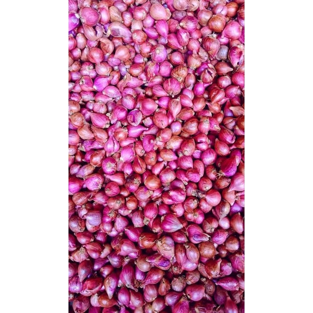 

Bawang merah sedang 1kg dan 500gr