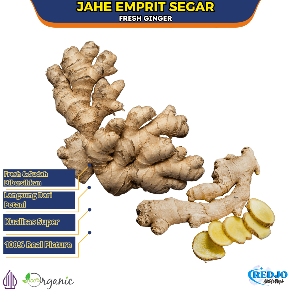 

Jahe Emprit Segar Fresh Jahe Masak Super Kualitas Premium Asli Pedas Rempah Herbal JSR Organik 1KG