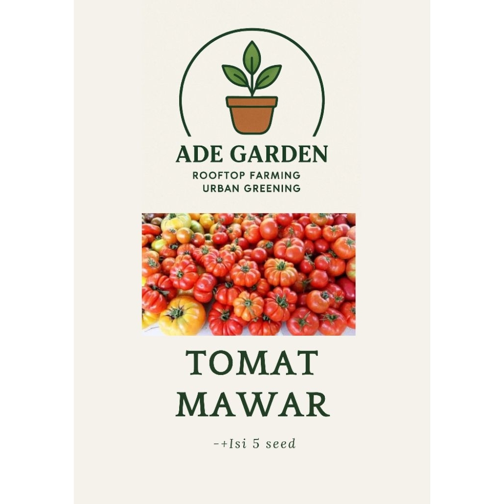 Benih Seribuan - Tomat mawar F1 Ade Garden