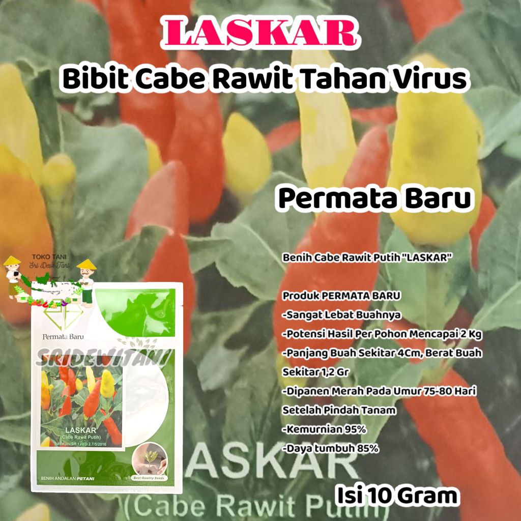 BIBIT CABE RAWIT PUTIH Tahan Virus LASKAR Isi 10 Gram Cap Permata Baru Setara Ori 212