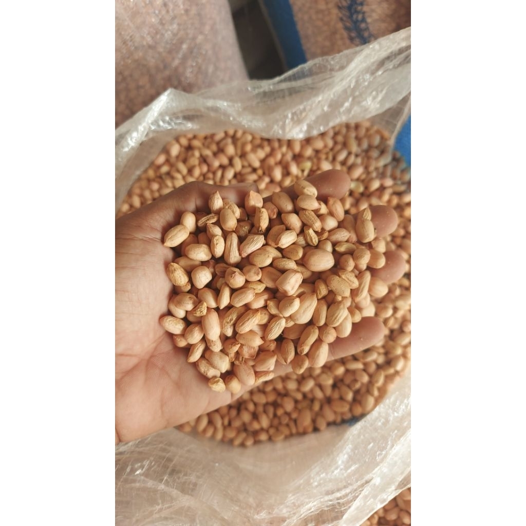 

Kacang Tanah Lokal Kemasan 250 gram