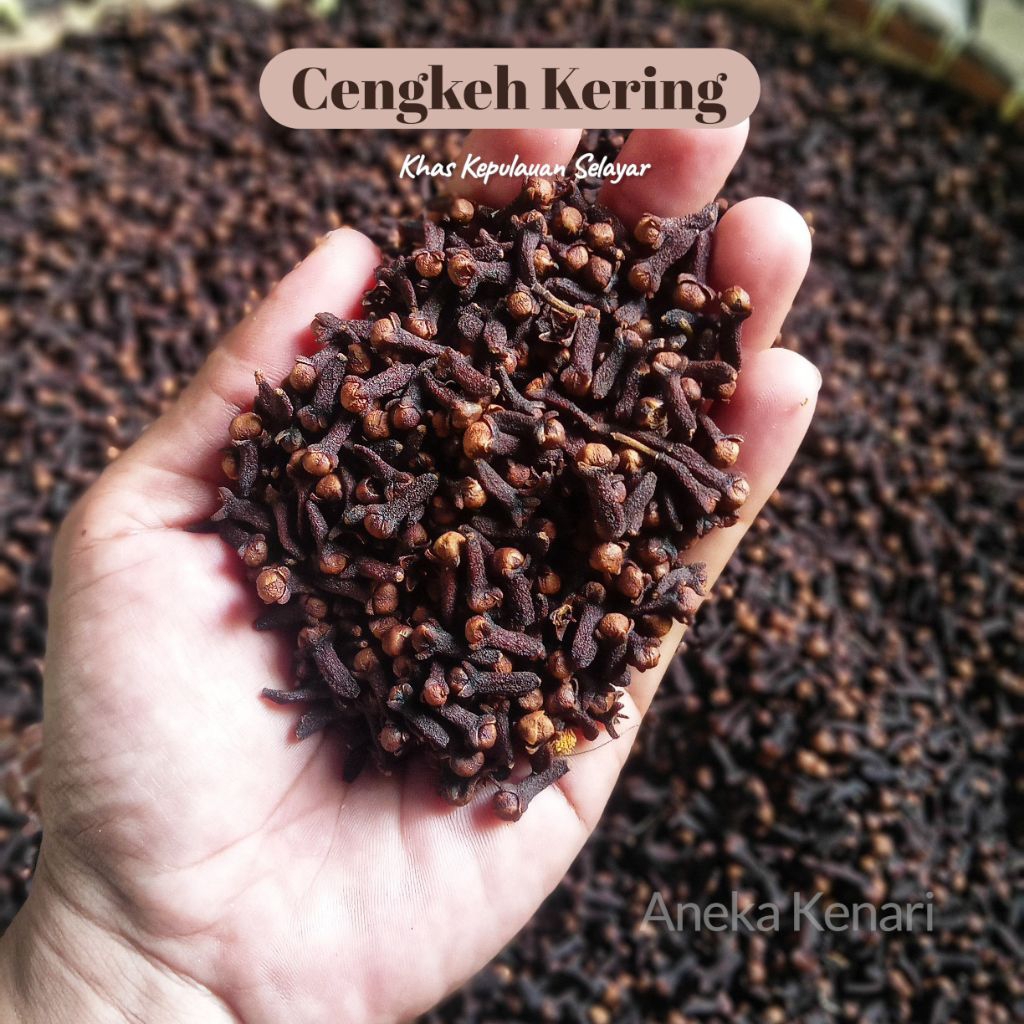 

Cengkeh Kering Asli Selayar || Rempah Premium untuk Masakan, Herbal & Kesehatan