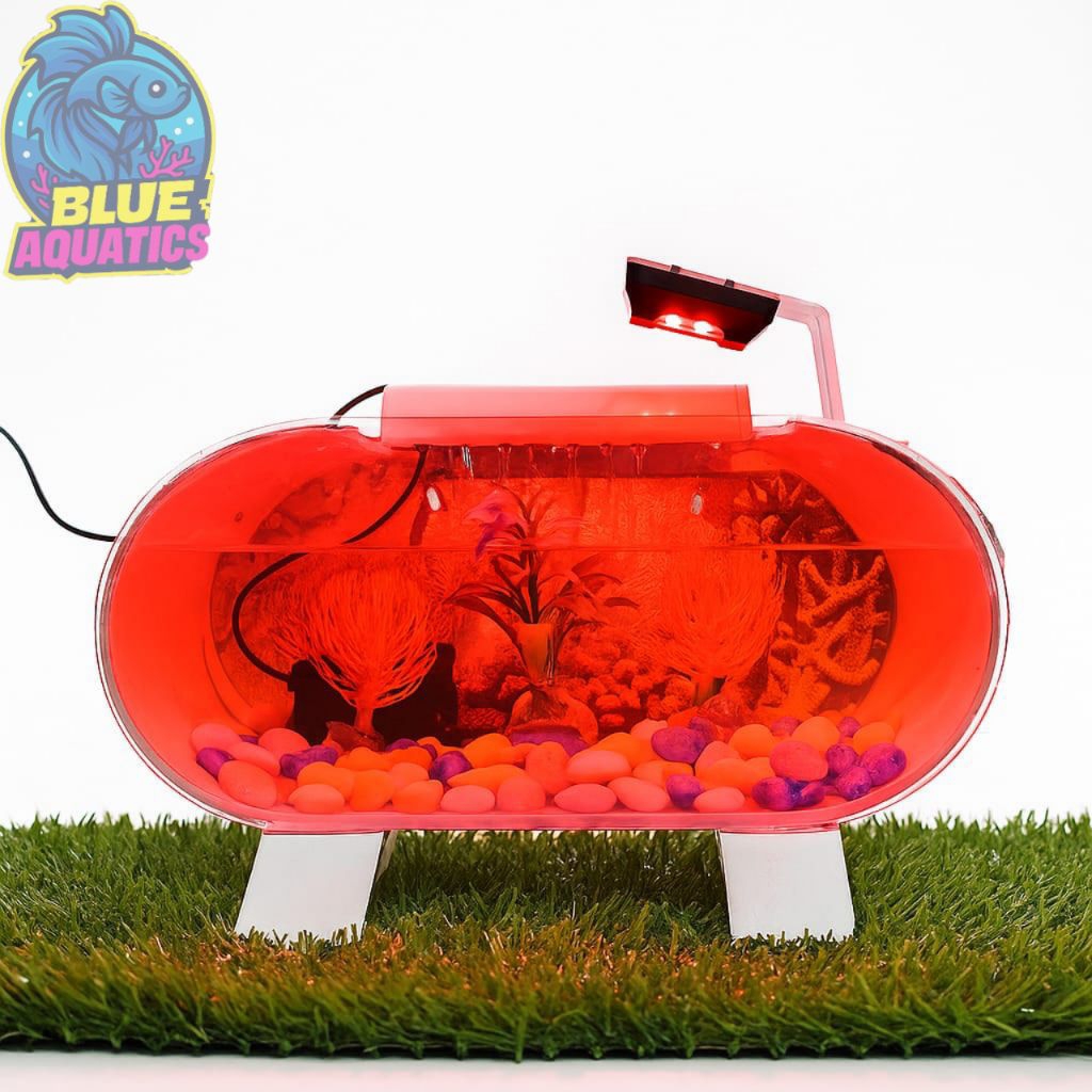 Aquarium Akrilik Minimalis 1 Set Lengkap Murah