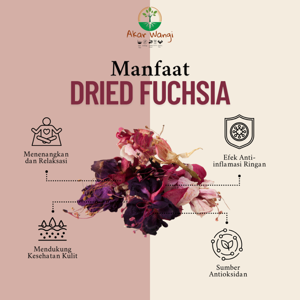 

ANTI LAYU!Akar Wangi Dried Edible Flower FUCHSIA-Kirim AMAN SE-INDONESIA!GarnishMakanan&GarnishMinum