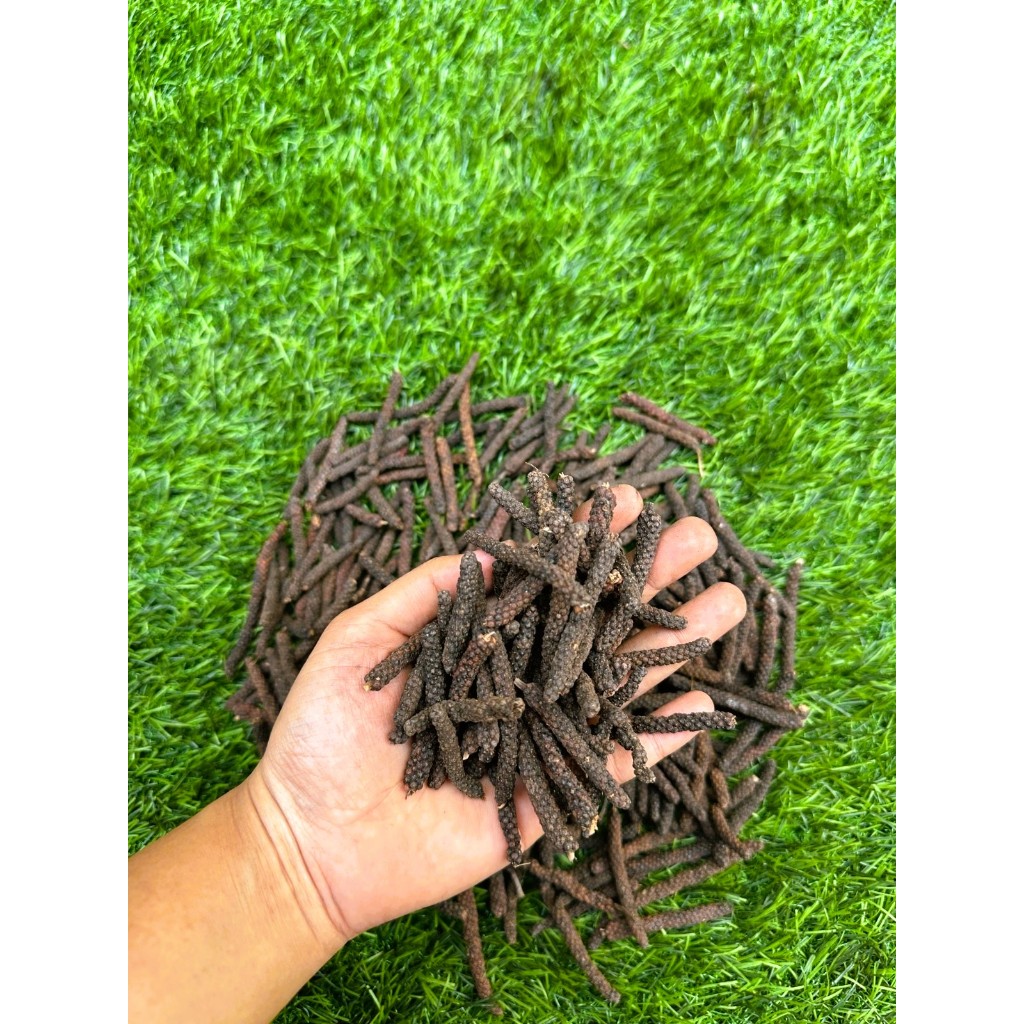 

Cabai Jamu Jawa – Fresh Original Hasil Sendiri