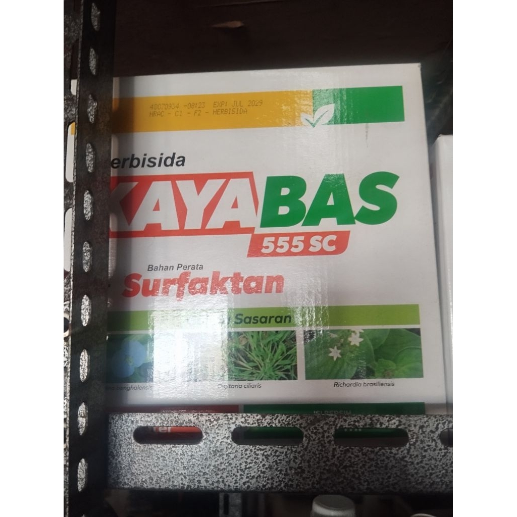 KAYABAS 555SC 1LITER/HERBISIDA SISTEMIK TANAMAN JAGUNG