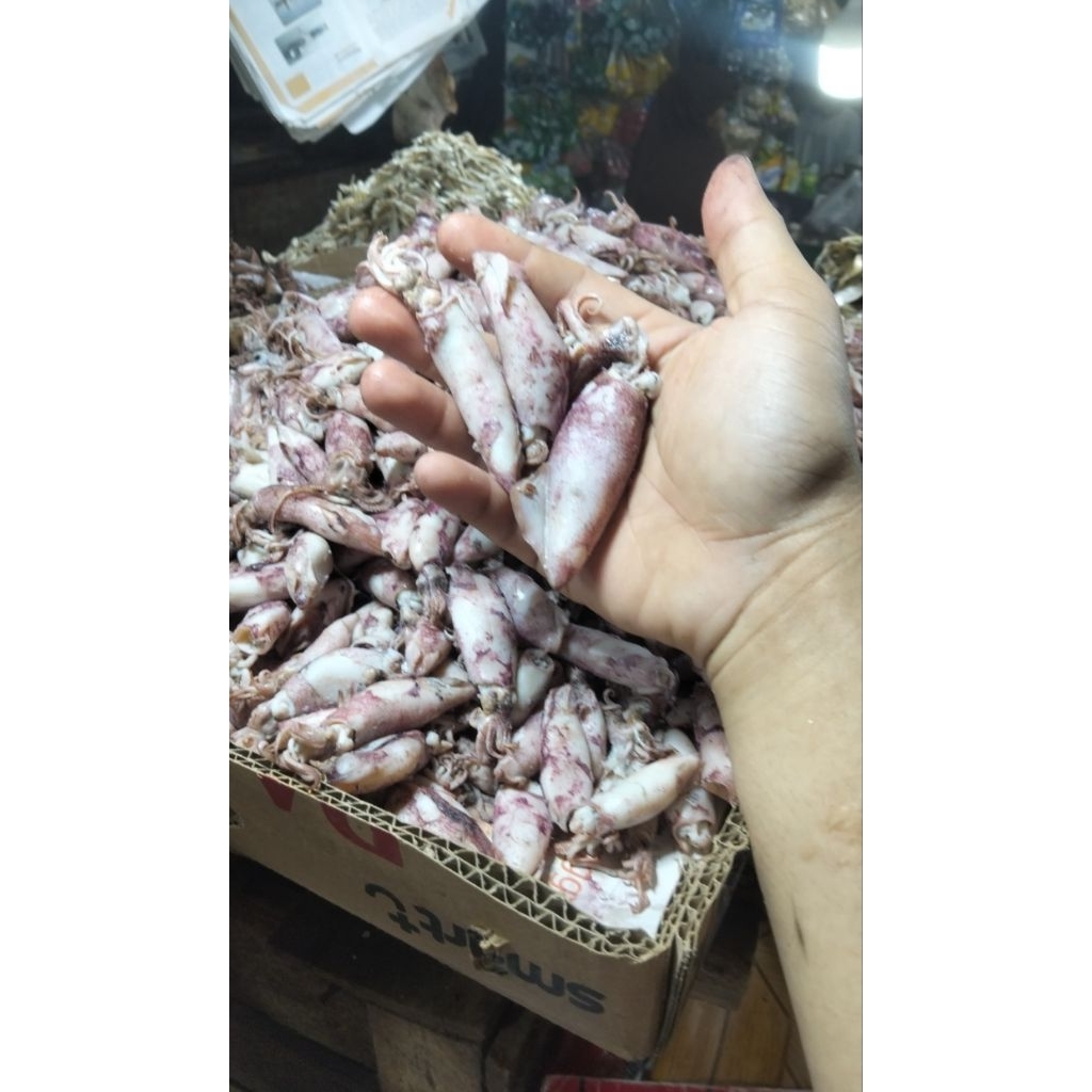 ikan asin cumi sotong telur segar