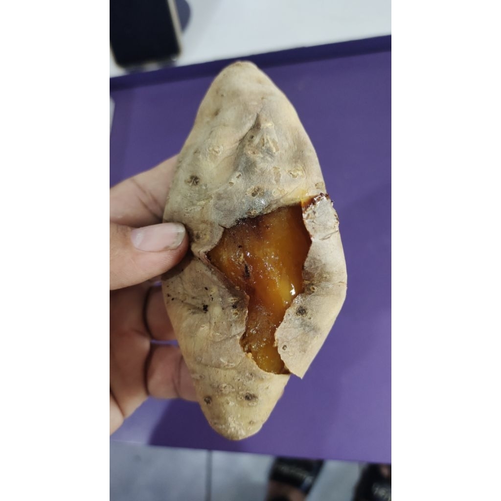 

Ubi Cilembu Madu Original