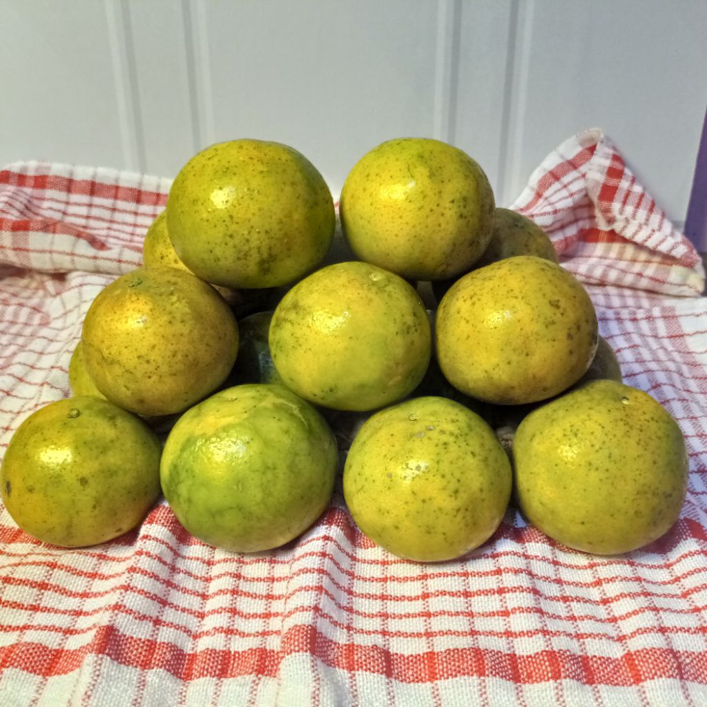 

2Kg isi 20! Jeruk Siam Madu Jeruk Manis Bergaransi