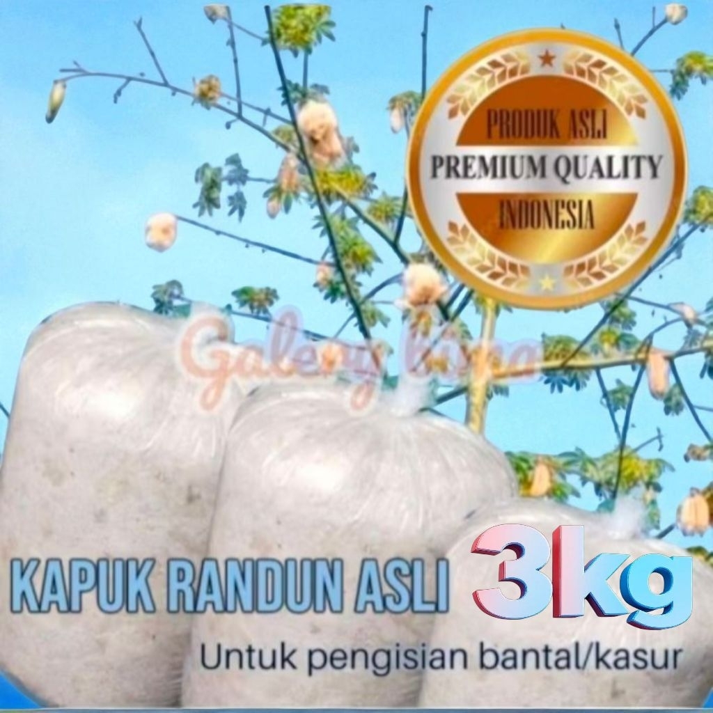 KAPUK RANDU 3KG | KAPUK TANPA BIJI | KAPUK ISIAN BANTAL&KASUR