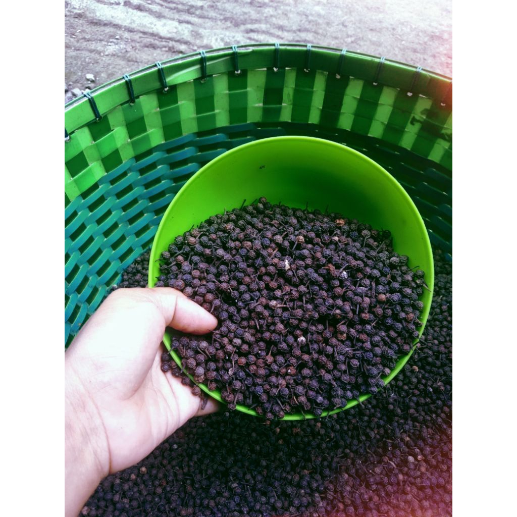 

biji kemukus ori kering murah 500gr