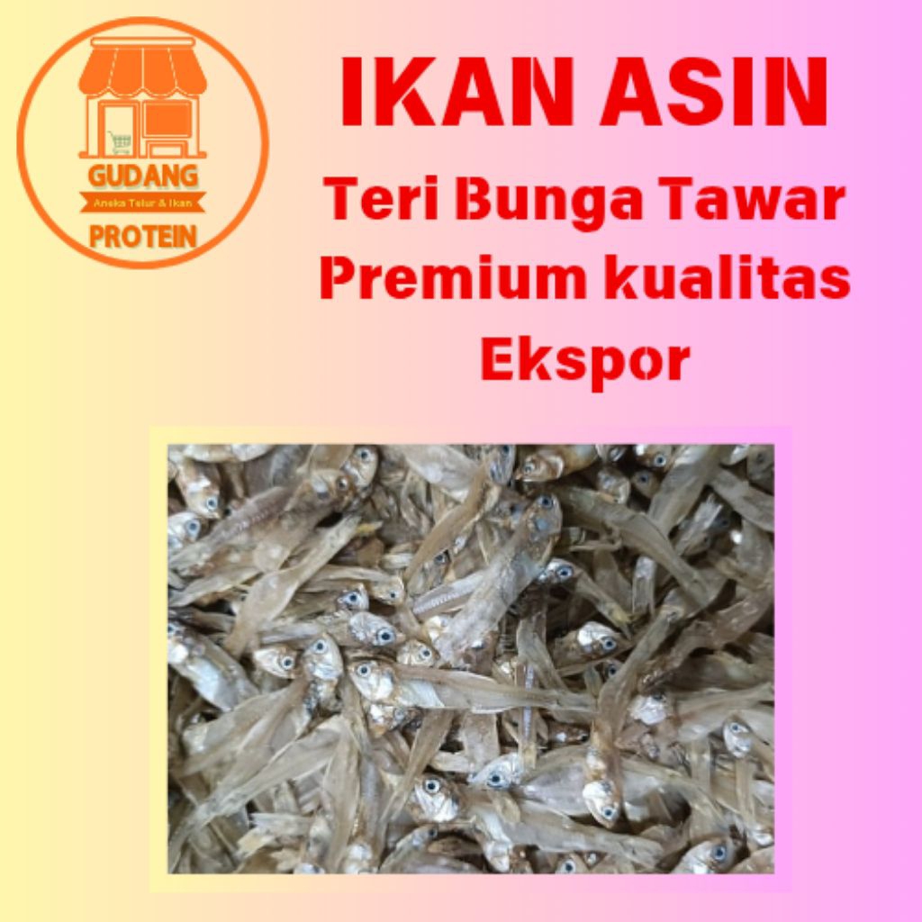 

Teri bunga tawar premium kualitas eksport terbaik