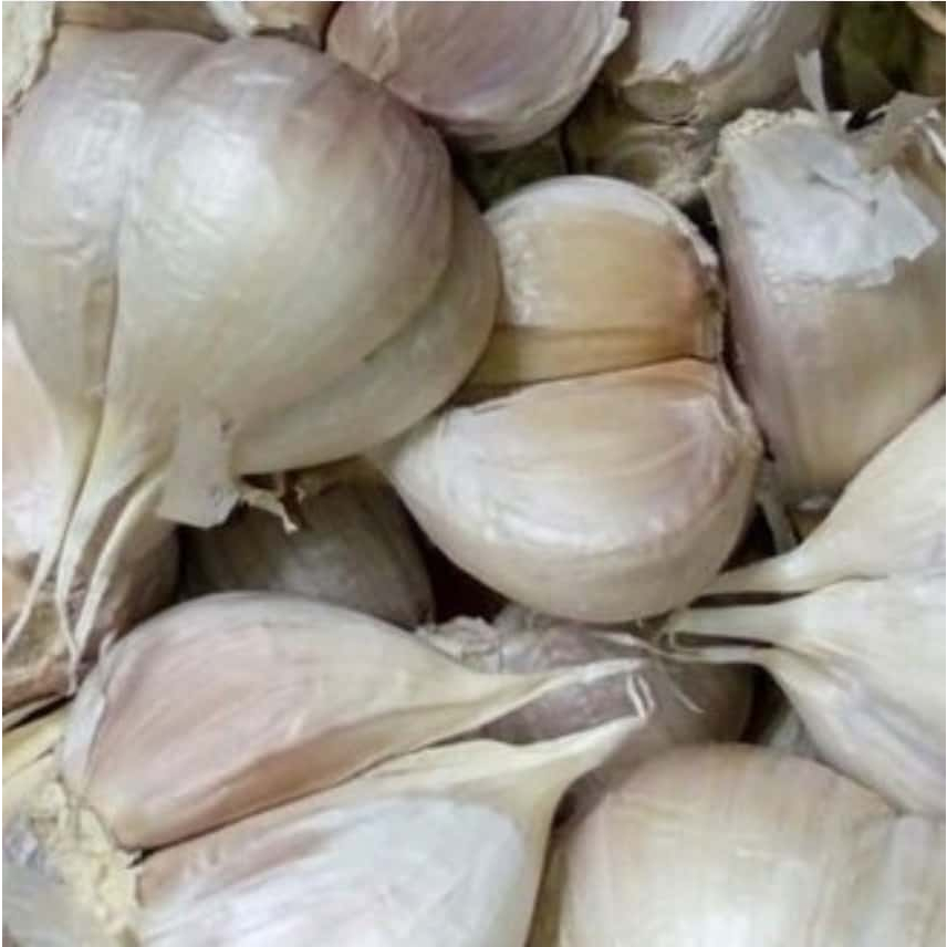 

Bawang Putih Kating | Bersih 500Gram