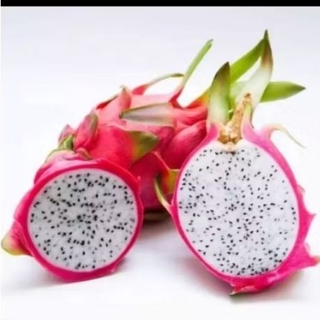 

buah naga putih dragon white fresh segar