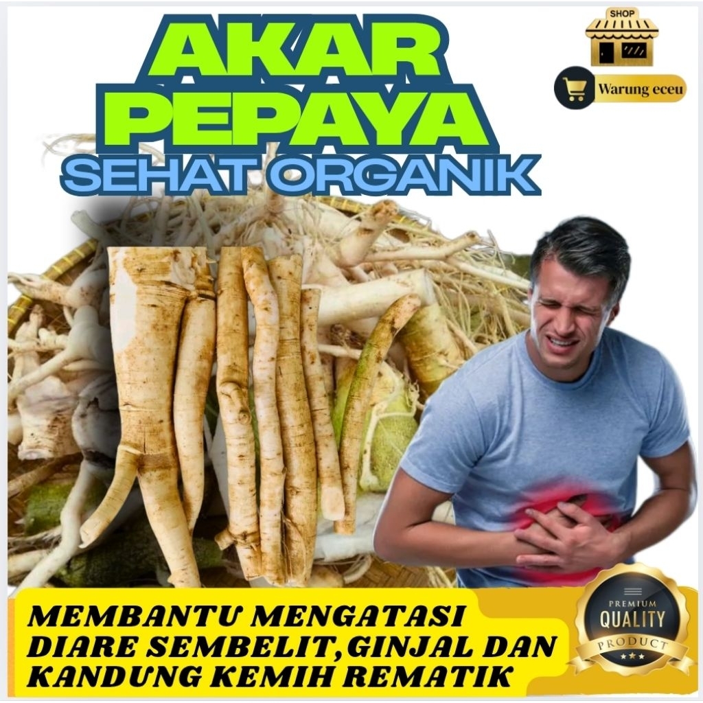 

OBAT HERBAL Akar Pepaya Segar Organik | Herbal Tradisional & Jamu Alami