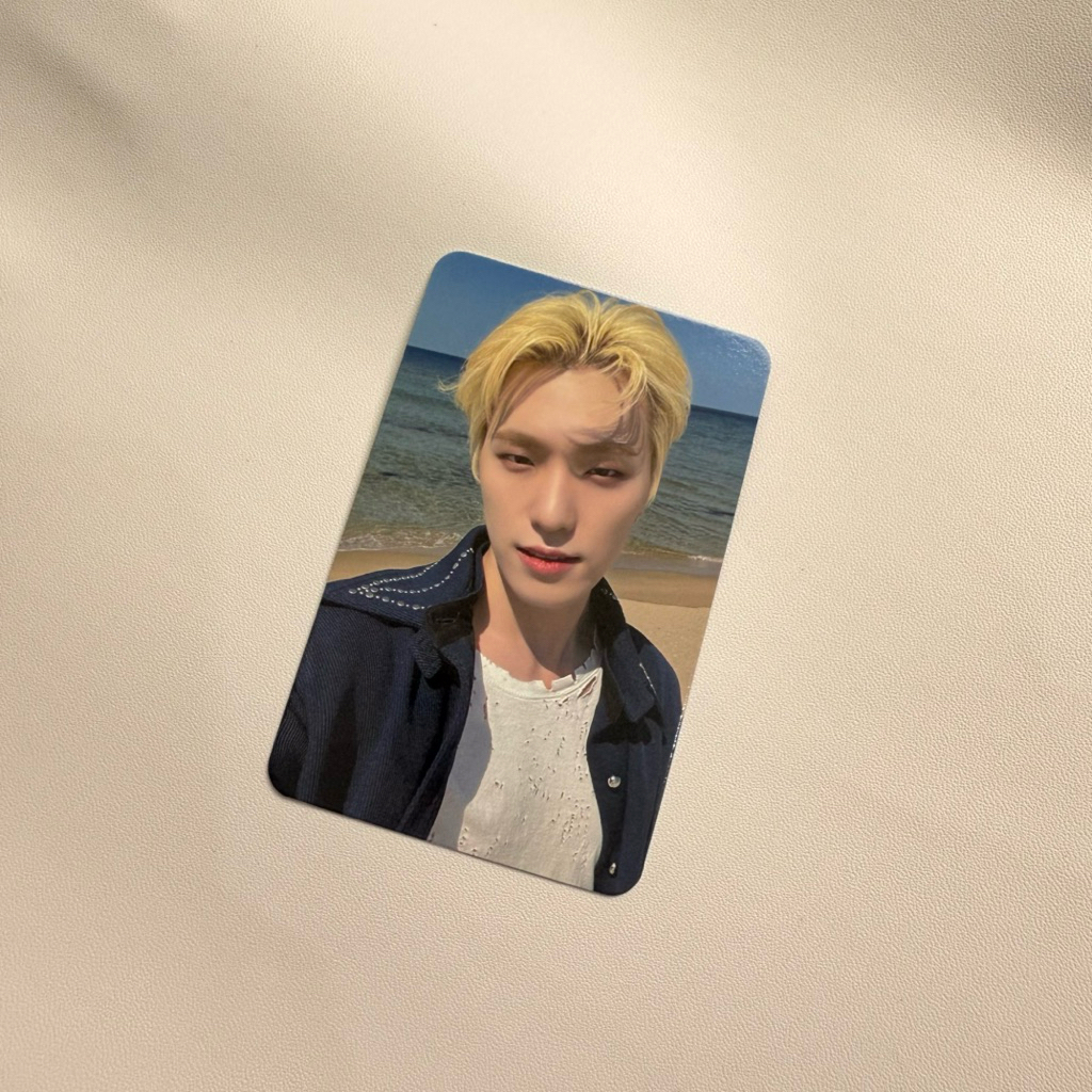 photocard pc official dino svt seventeen fml benefit pantai