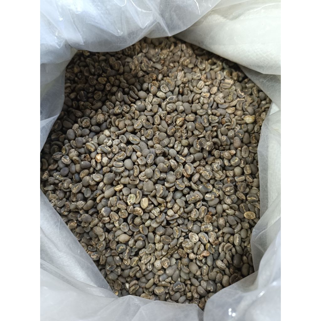 

Biji Kopi Mentah Arabika Gayo Green Bean Semi Wash Grade 2 Grade B Wetthull Giling basah