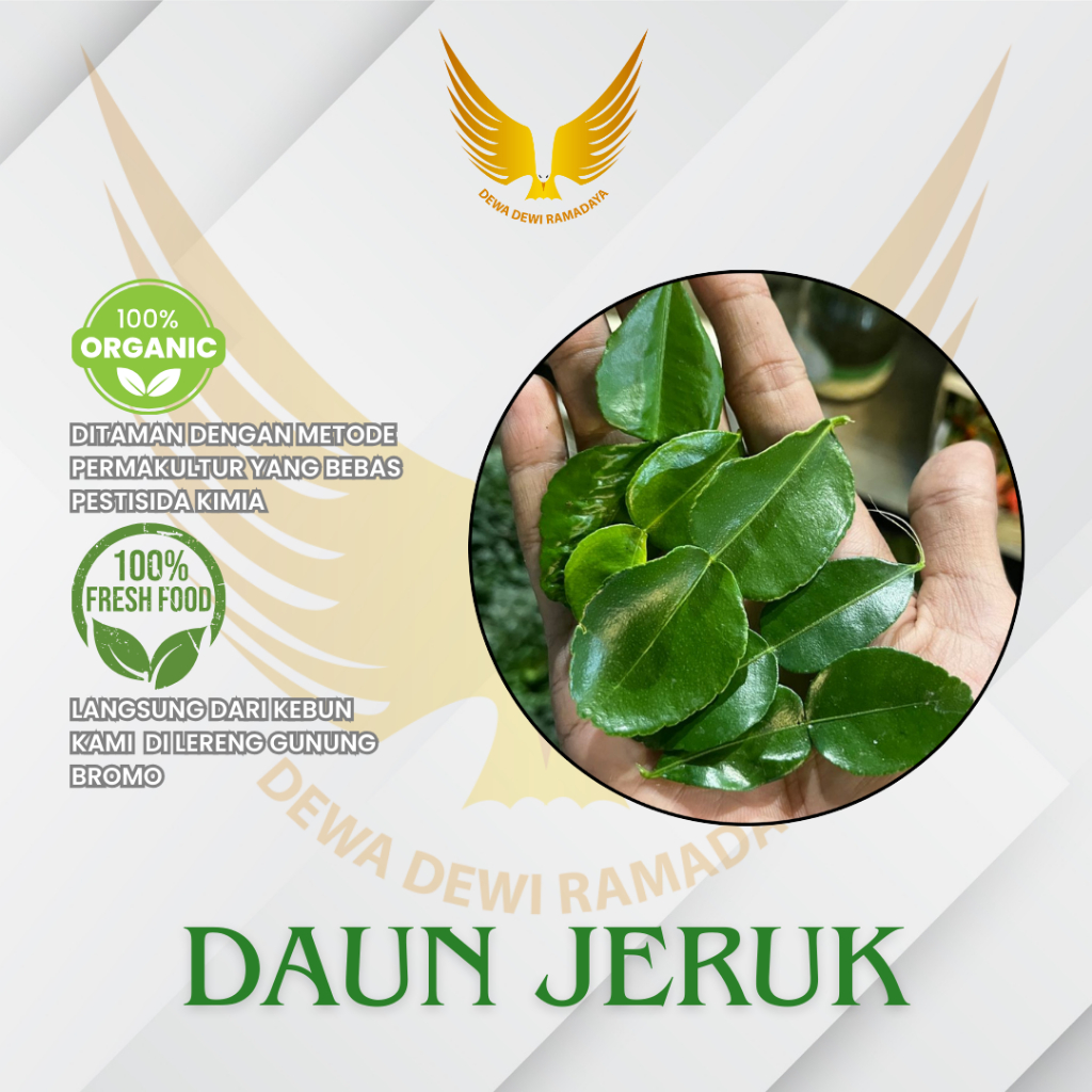 

Daun Jeruk Organik Dewa Dewi Rama Daya