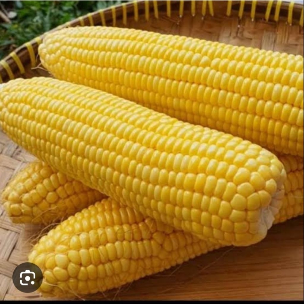 

250g jagung manis sayur