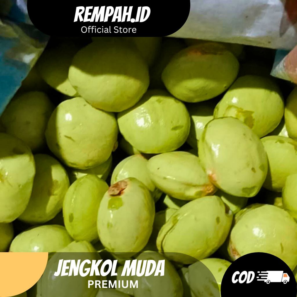 

Jengkol Muda Segar 1 KG Premium Cocok Untuk Coel Sambal ( Belum Dikupas )