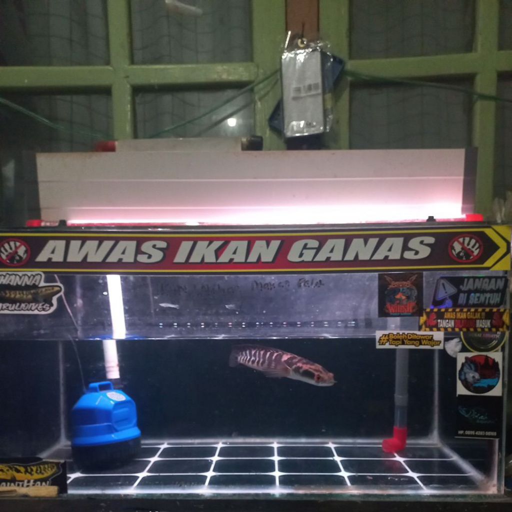 PAKET LENGKAP. POMPA AQUARIUM DAN FILTER TALANG 60CM